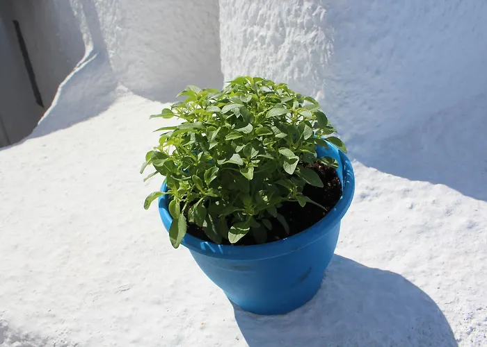 Prázdninový dům Santoimage House